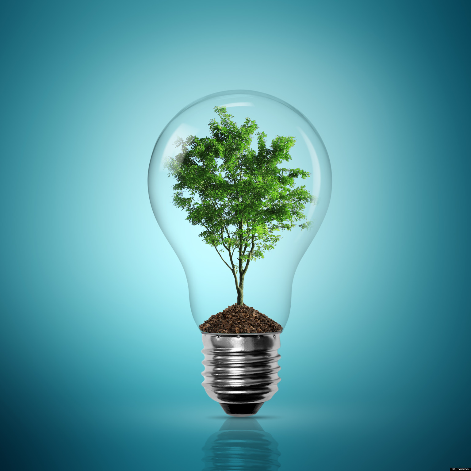 idee verdi per un futuro eco-sostenibile