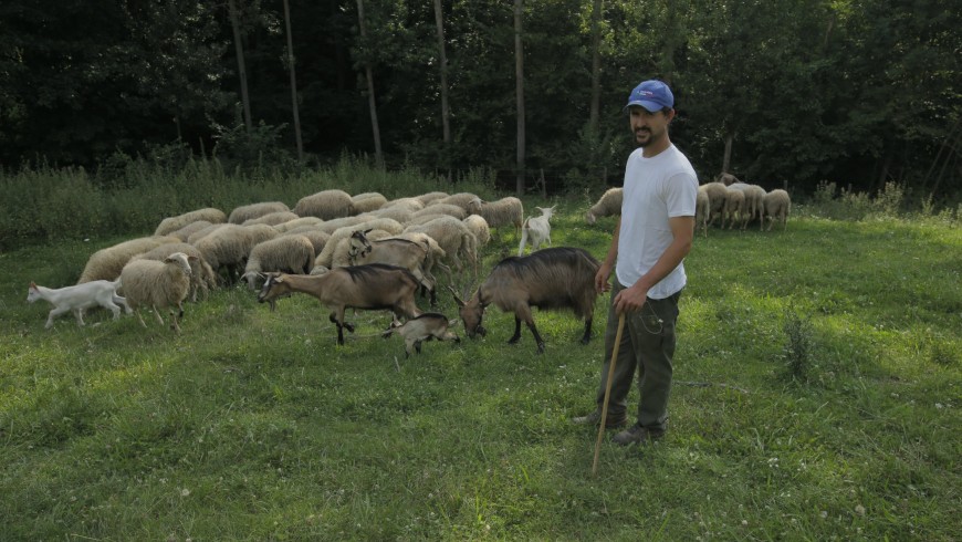 Alessandro Boasso con le sue pecore