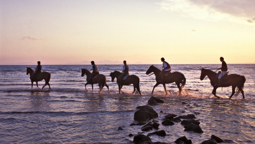 Vacanze a cavallo nel mare della Maremma