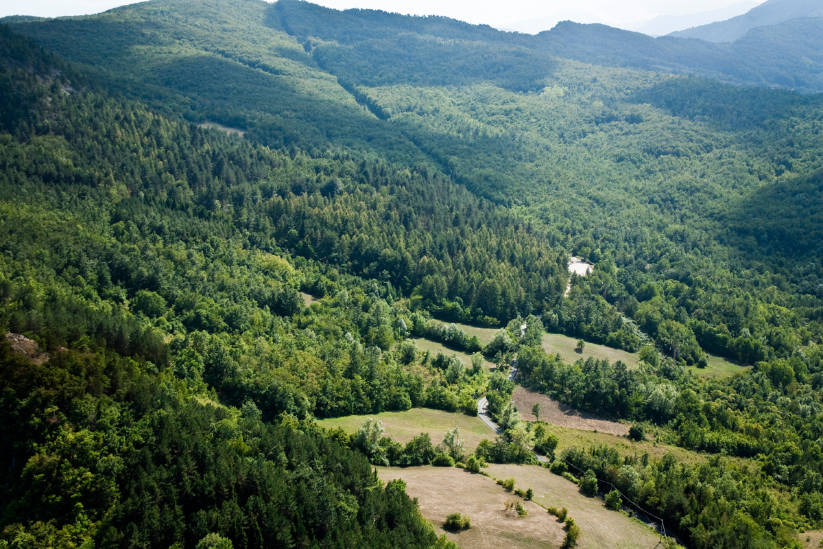Giardino Alpino di Pietra Corva