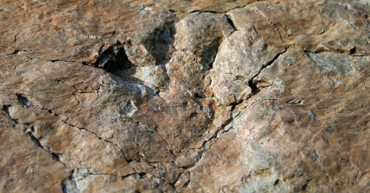 Impronte di dinosauro in Valle Maira