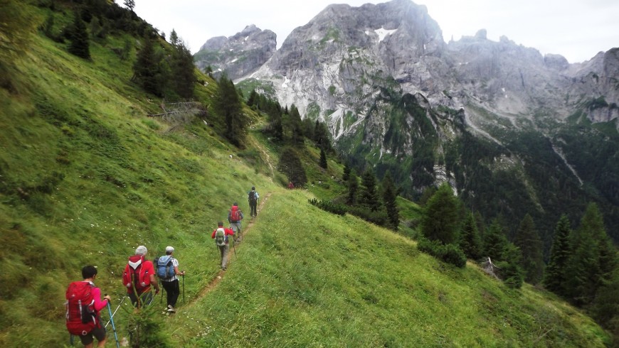 Esplorare le Alpi in treno: Trekking nel Parco Nazionale Dolomiti Bellunesi, Veneto