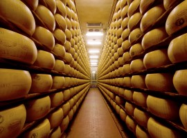 parmigiano reggiano, il formaggio di Parma