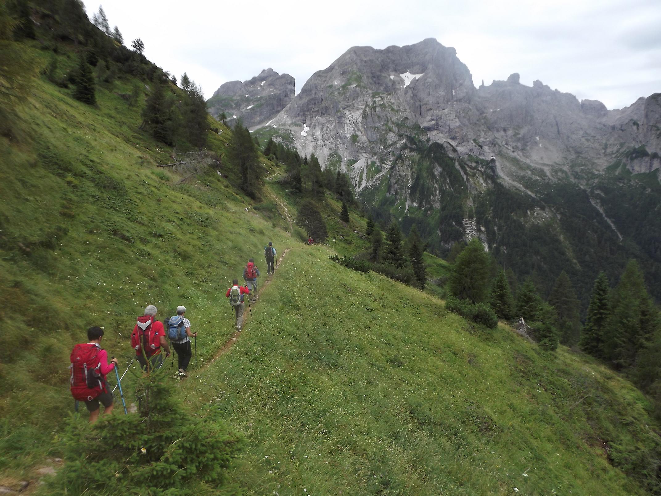I Parchi delle Alpi in treno – Trekking nel Parco Nazionale Dolomiti Bellunesi