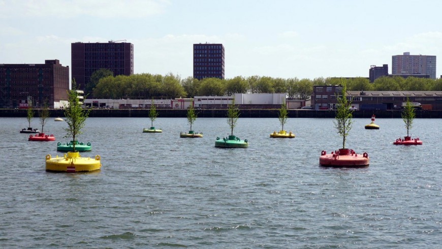 Rotterdam, un bosco galleggiante per salvare gli alberi. È la Bobbing Forest