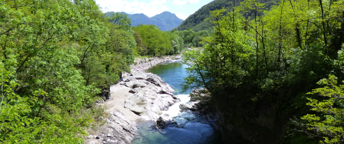 Piscine naturali per unestate in piemonte ecobnb Piscine naturali torino