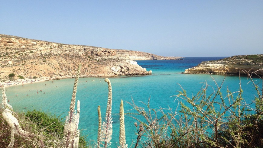 Spiaggia dei conigli, Lampedusa, una delle spiagge più belle del mondo