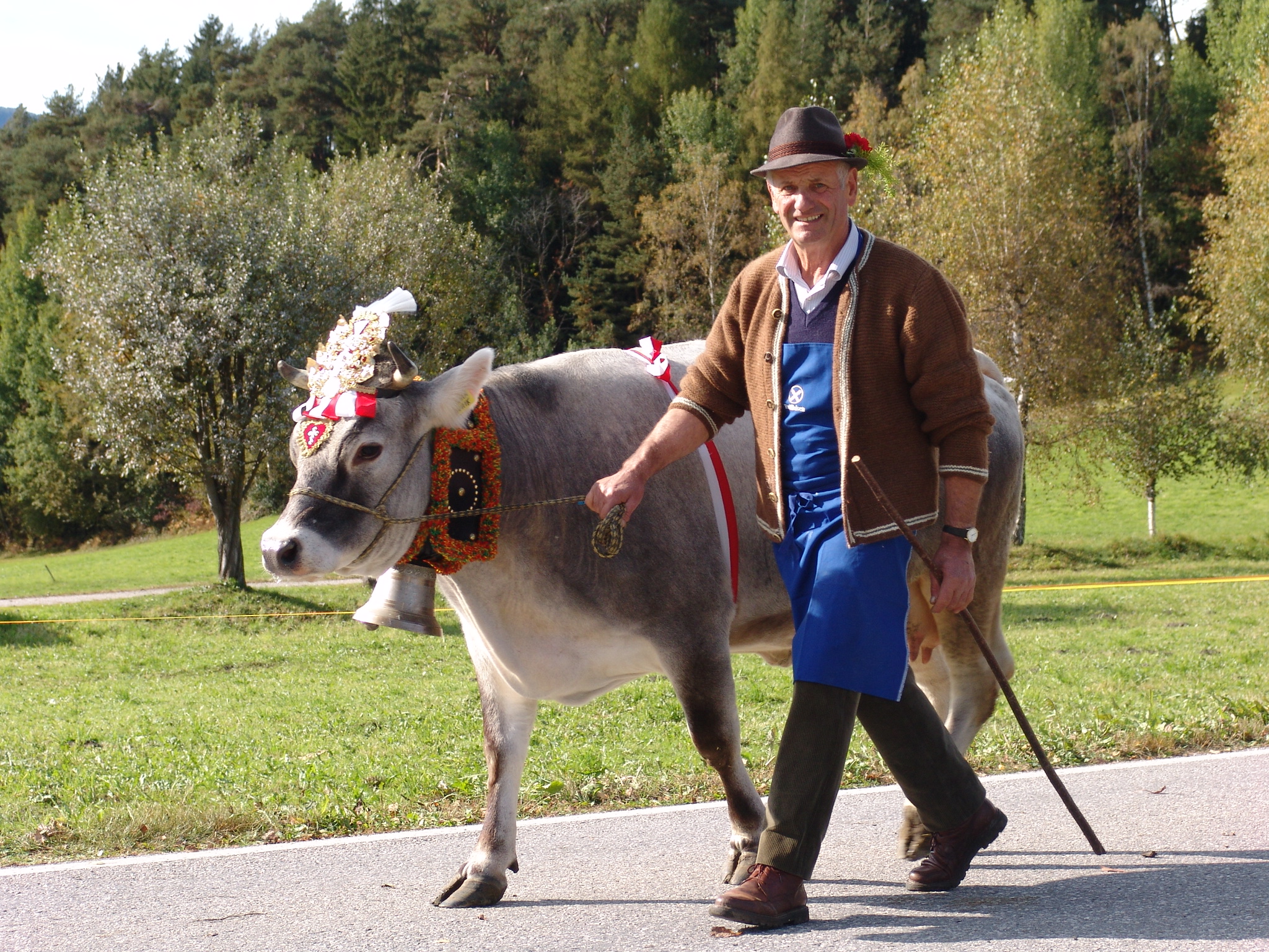 Celebrate the return of the cattle from the mountain in South Tyrol