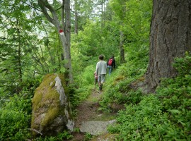 percorso nel bosco verso il laghetto di plan, Val Passiria, Alto Adige