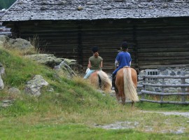 Itinerario a Cavallo nella natura incontaminata di Plan, perla Alpina in Val Passiria, Alto Adige