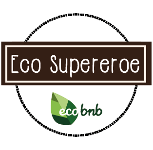 Distintivi Eco Supereroe