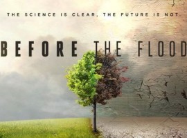 before the flood un film sui cambiamenti climatici