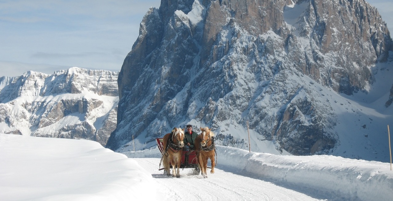 Ragazzi In Sella A Una Slitta Slittino Lungo La Neve - Fotografie