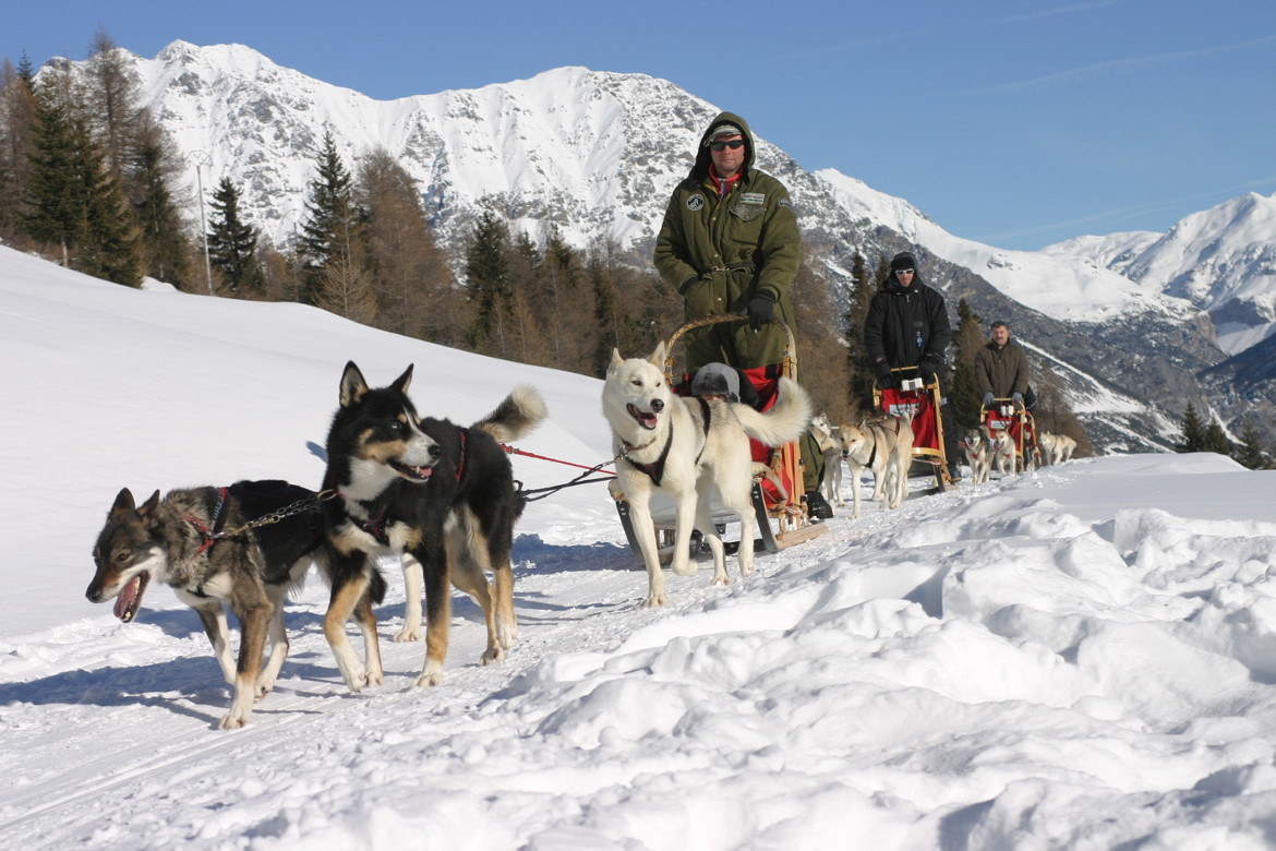 Busch Slitta Con Cani - Kit Per Modellismo E Diorami