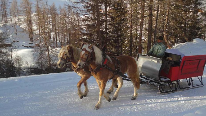 I paesaggi incantati di Moso in Passiria (Alto Adige) da scoprire a bordo di una slitta trainata dai cavalli