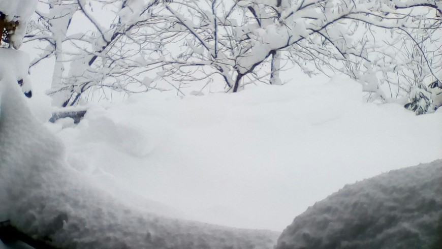 La neve - casale il baronetto colpito dal terremoto e dalla forte nevicata in Abruzzo