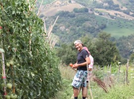 Casale Il Baronetto, agriturismo biologico in Abruzzo