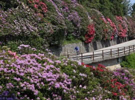 Conca dei Rododendri: tra i parchi più belli d'Italia 2017