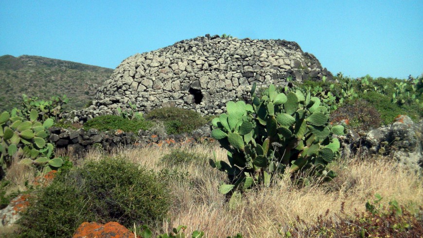 10.000 alberi per riforestare l'isola di Pantelleria