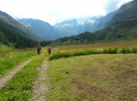 Itinerario immerso nel verde vicino a Plan, Moso in Val Passiria