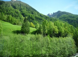 Plan, Moso in Val Passiria, Alto Adige, in Estate