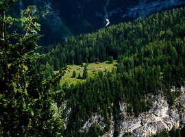 La meraviglia dei boschi in Trentino