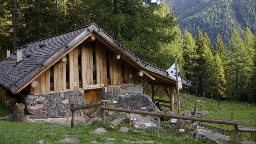 Oasi WWF di Valtrigona, boschi del Trentino