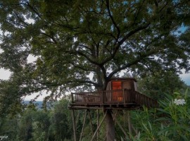Casa sull'albero della Fattoria La Prugnola, in Toscana