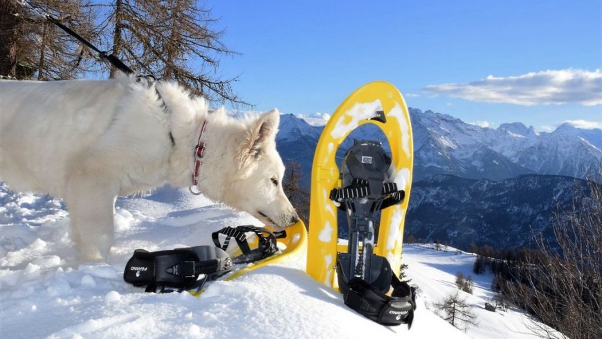 Chamois - La Magdeleine, vacanze sulla neve senza auto in Valle d'Aosta