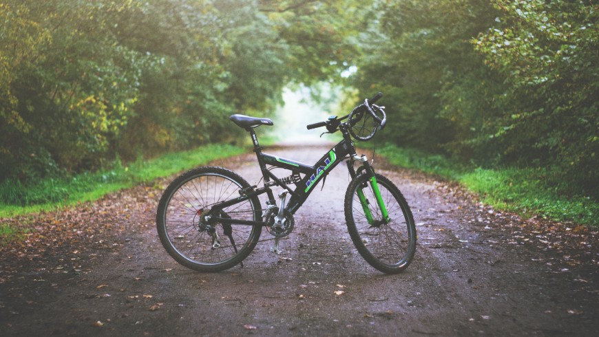 Bicicletta in mezzo ad un sentiero nel bosco, foto di Eddy Lackmann via Unsplash