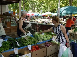Bancarelle di frutta e verdura nella piazza del Mercato di Spalato