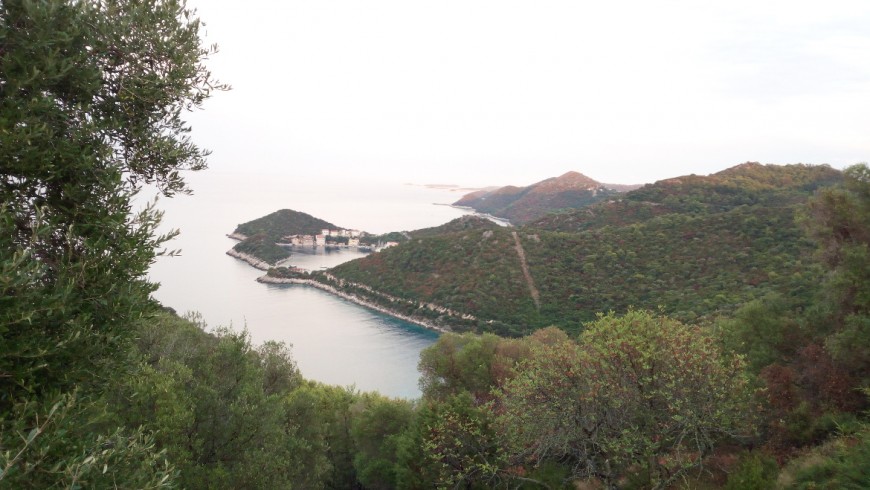 Lastovo, isola verde e incontaminata, raggiungibile in traghetto da Spalato.