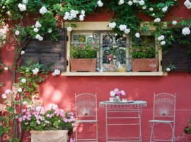 B&B Ca' delle Rose: un giardino di rose vicino Venezia
