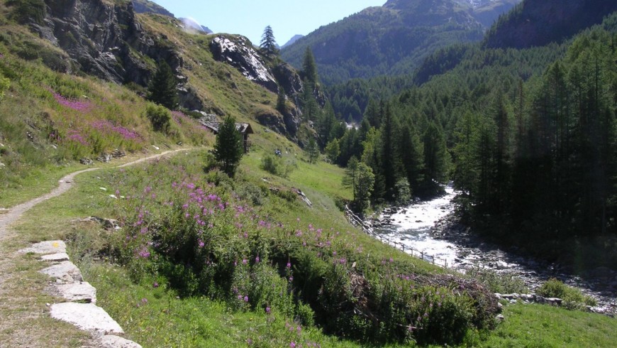Goilles dessous, nel Vallone Urtier, Cogne , Valle d'Aosta