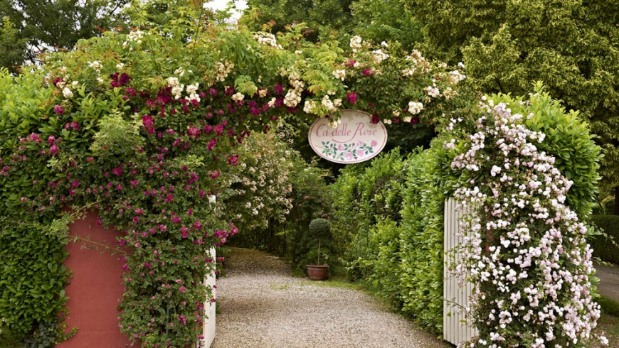 B&B Ca' delle Rose: un giardino di rose vicino Venezia