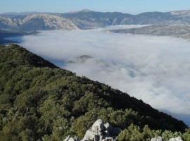 Un agriturismo biologico in Sardegna