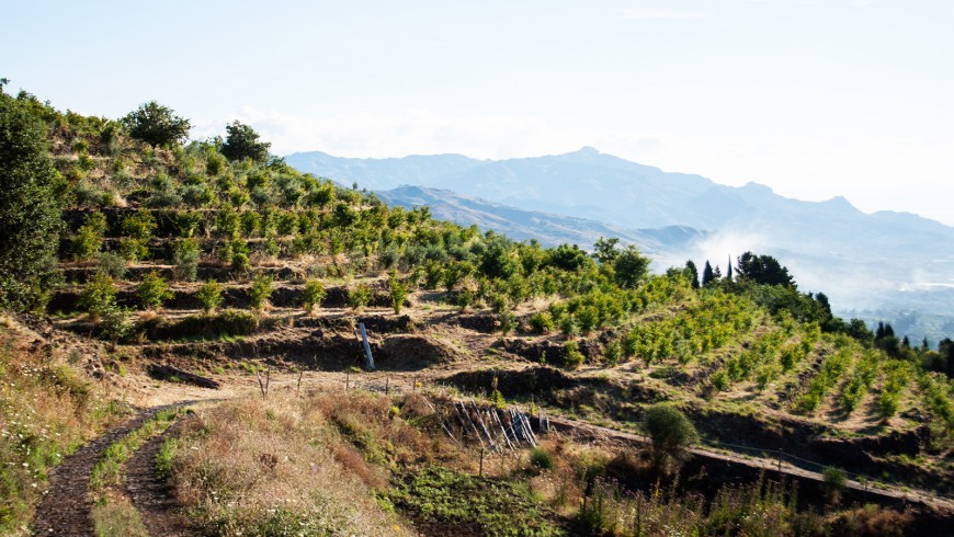 Alla scoperta del cibo italiano sulle pendici dell'Etna: BagloArea, agriturismo biologico e sostenibile