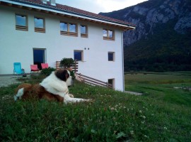 La tua vacanza in un maso eco-friendly del Trentino Alto Adige