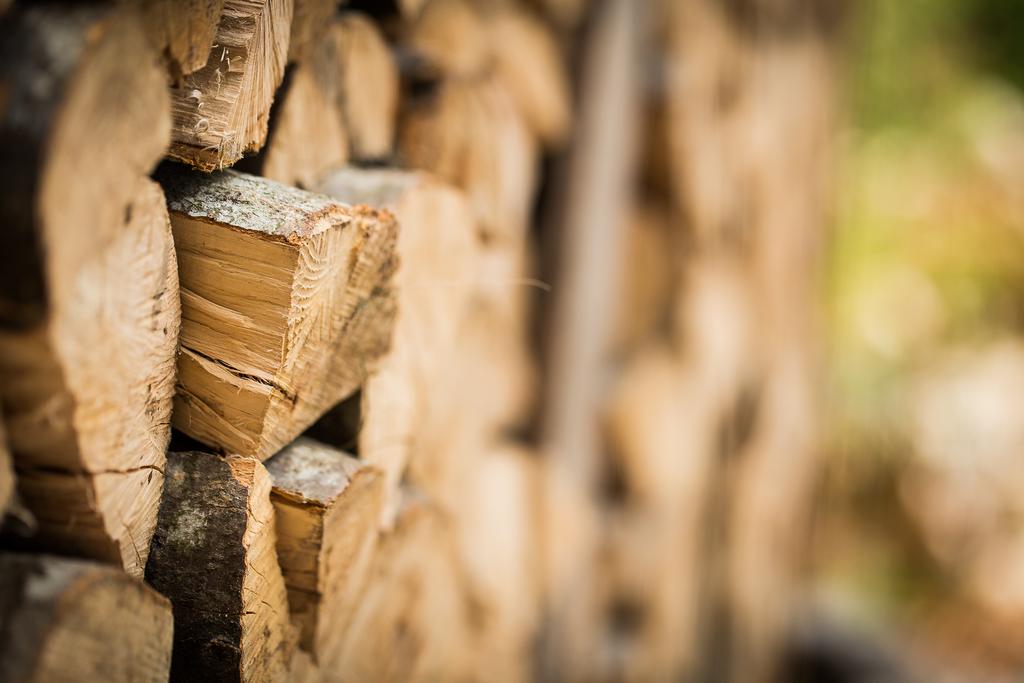 legna, alla casa di legno aunus