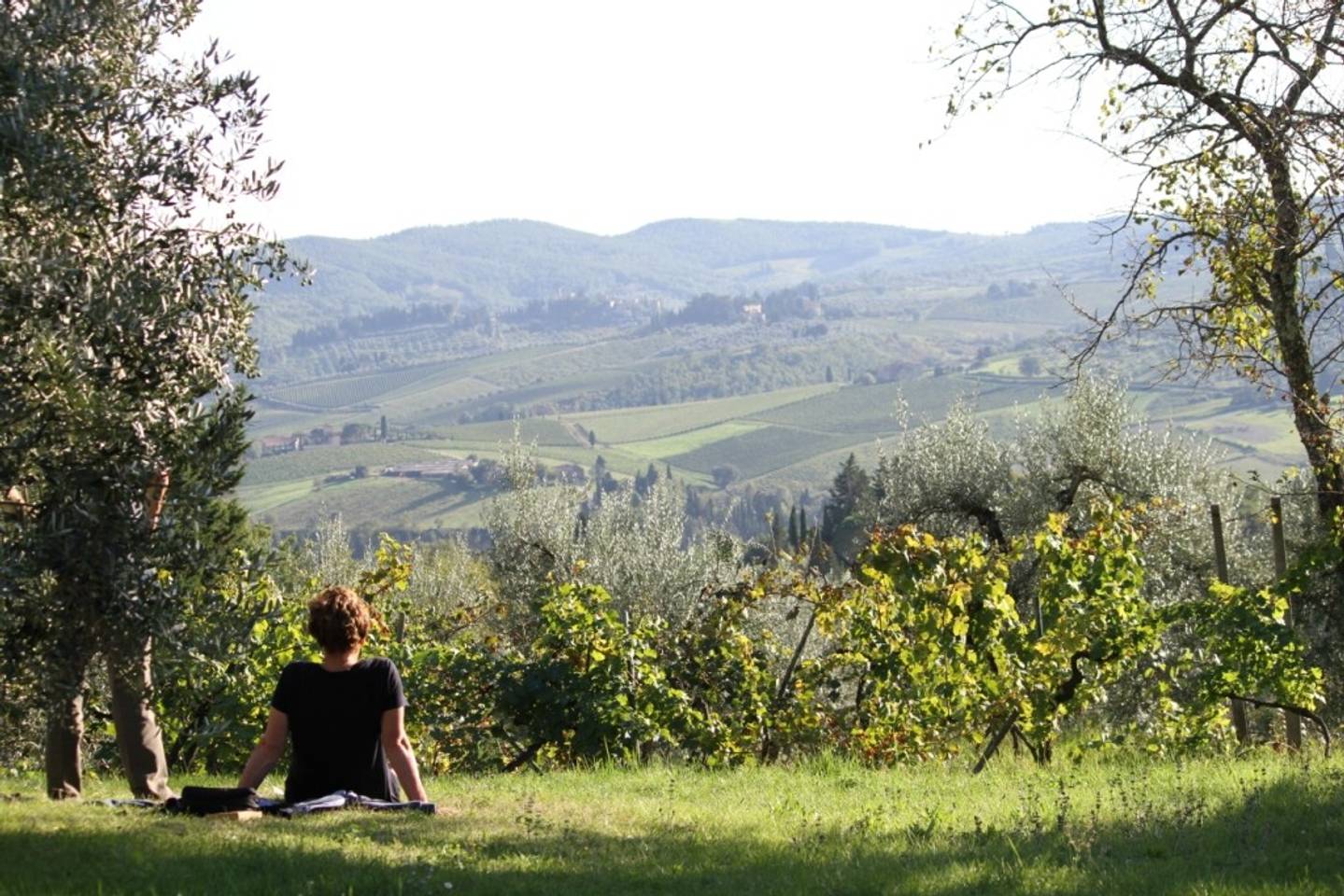 Ancora del Chianti, paesaggio mozzafiato sulle verdi colline del Chianti