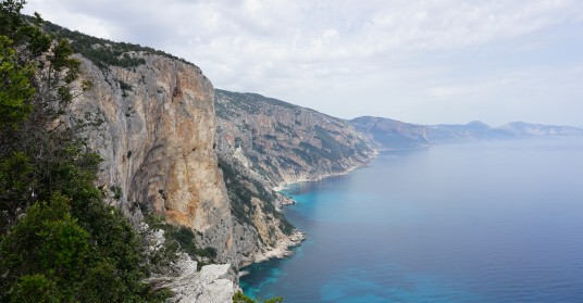 Selvaggio Blu