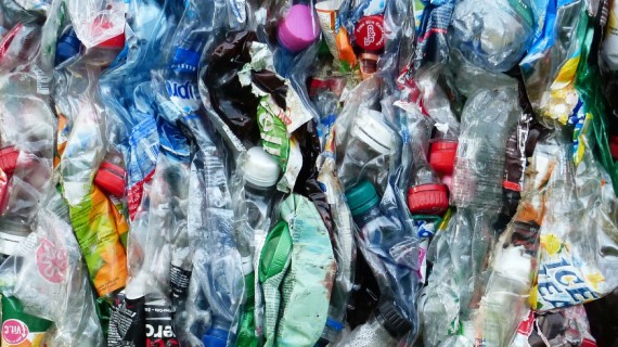 Addio alle buste di plastica - Ecobnb