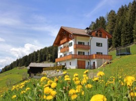 La tua vacanza in un maso eco-friendly del Trentino Alto Adige
