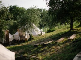 The Lazy Olive Glamping