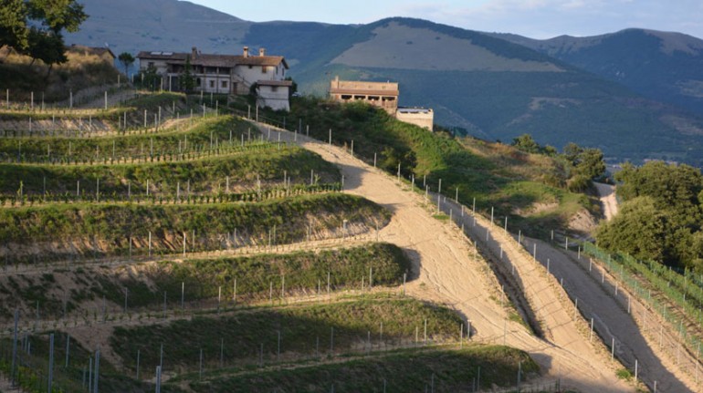Agriturismo con orti, frutteti e vigne in Umbria