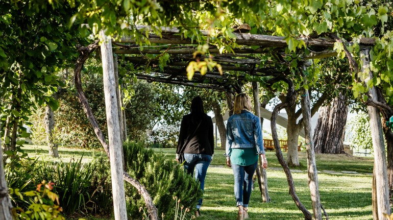 Le vigne e i paesaggi della Maremma Toscana al Relais Villa Acquaviva