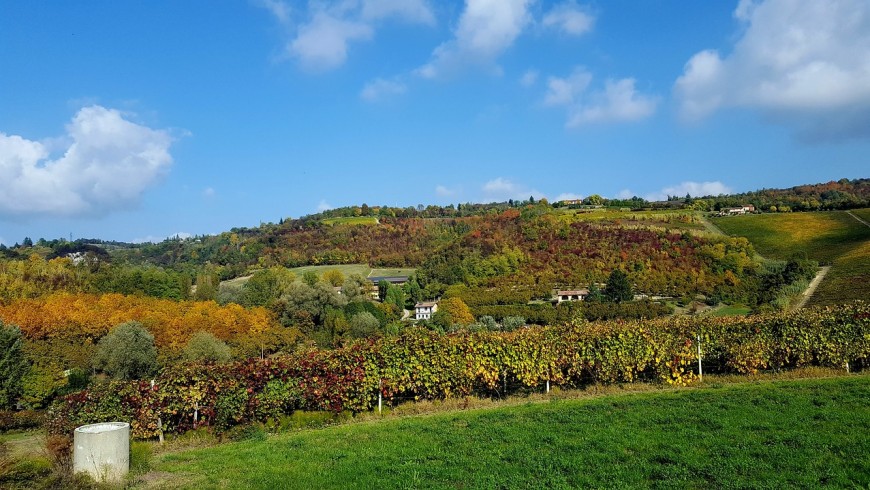 Tra le colline del Monferrato