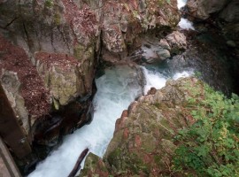 Le cascate di Stanghe, Racines