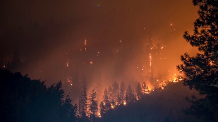 Incendi, siccità, distruzione foreste
