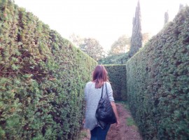 Camminare nel Labirinto del Giardino Sigurtà